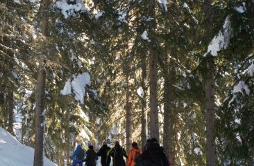 schneeschuhwandern-im-wald