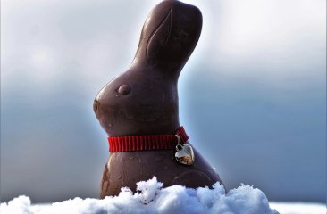 schokohase-im-schnee