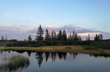 schwarze-lacke-gerzkopf