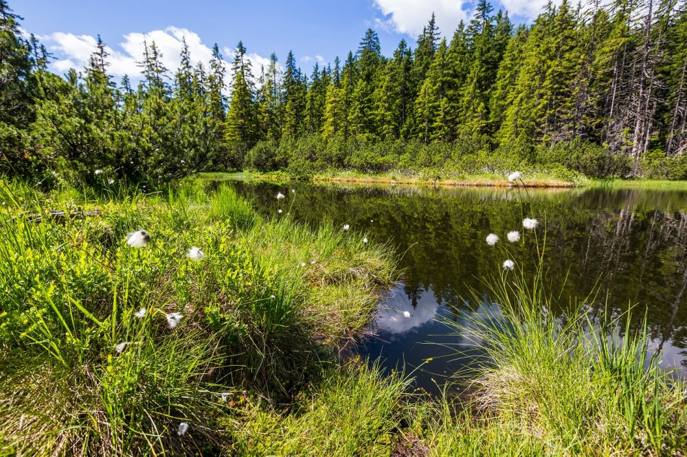 Wandertipp: Über die Schwarze Lacke zur Schwaigalm