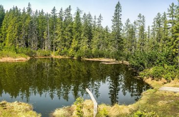 schwarze-lacke2_coenweesjes