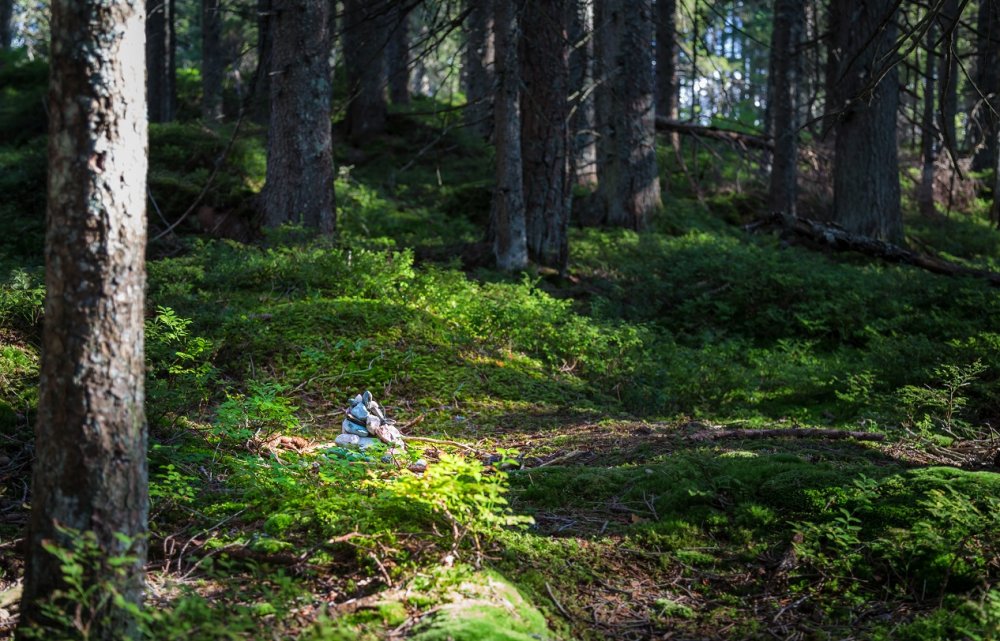 sehnsuchtsort-natur-titel