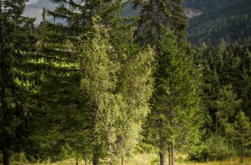 sehnsuchtsort-natur1