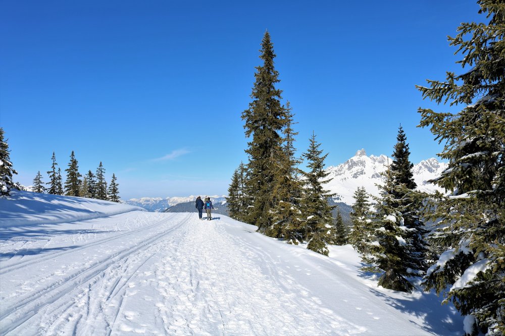 Frühlingsspaziergang am Roßbrand