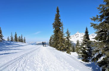 spaziergang-auf-der-hoehenloipe