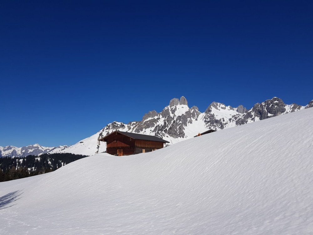 Diesjährige Almsaison