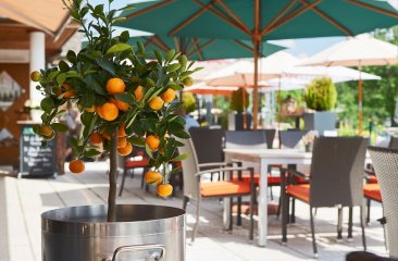 terrasse-happy-filzmoos