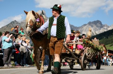 traditioneller-leiterwagen
