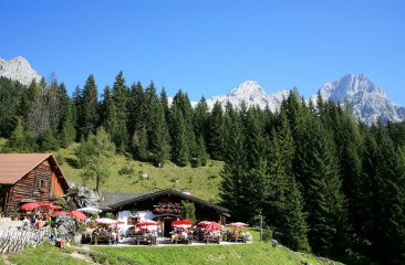 unterhofalm-filzmoos2