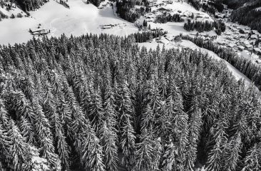 vinzenzimesse-filzmoos5