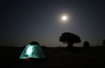 vollmondnacht-am-ufer-des-sambesi