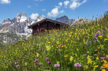 vorfreude-auf-den-sommer-in-filzmoos