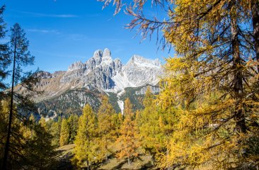 wandern-im-herbst6