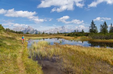 wandern-und-wasser-in-filzmoos