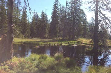 wanderung-auf-den-rossbrand