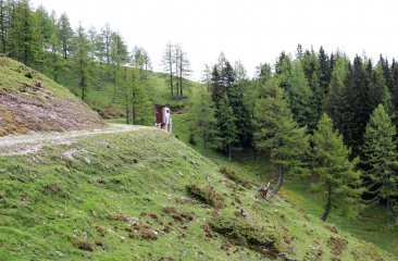 wanderung-zum-noesslerriedel