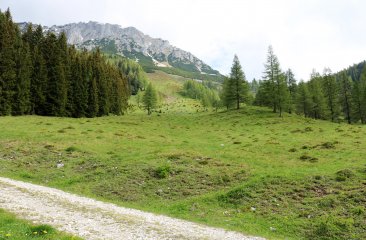 wanderweg-noesslerriedel