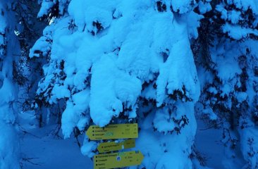 wegweiser-tief-verschneit