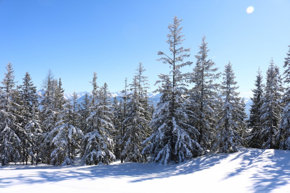winterlandschaft-blauer-himmel
