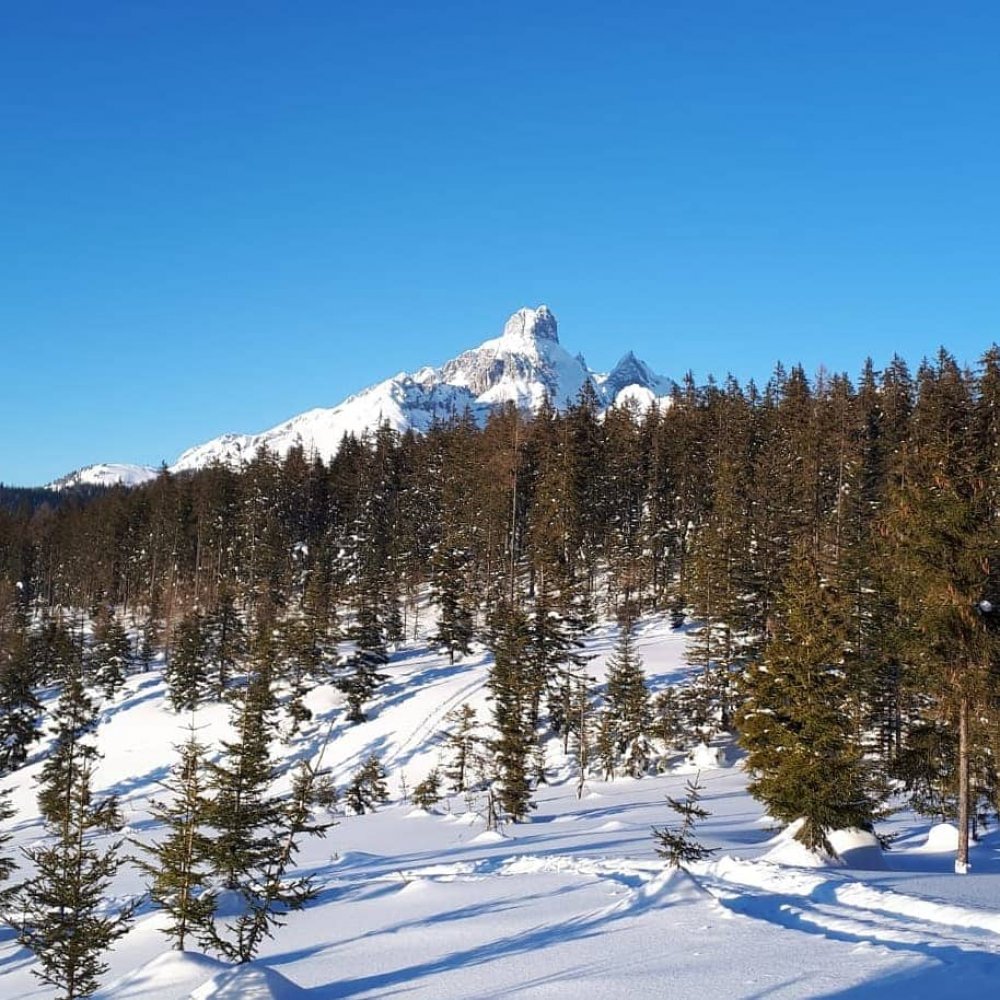 Wandern im Winterwunderland Filzmoos