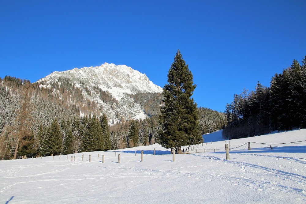 Winterwanderung auf den Oberberg