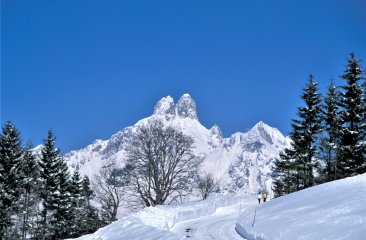 winterwanderung_oberberg3