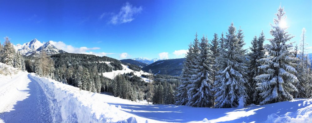 Winterwanderung zur Schwaigalm