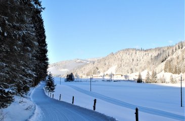 winterwanderung_schwaigalm_filzmoos2