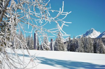winterwanderung_schwaigalm_filzmoos8