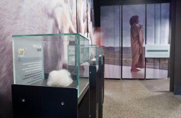 wollwelt-steiner-mandling